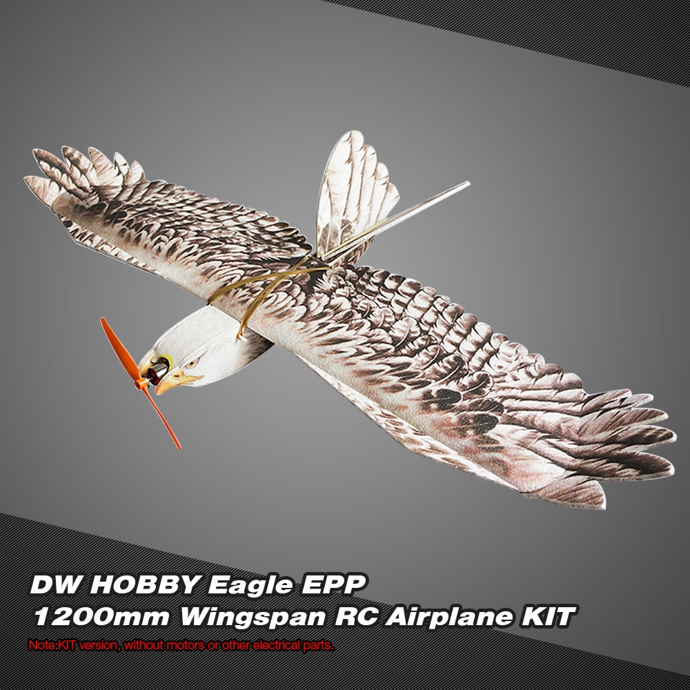 eagle rc plane
