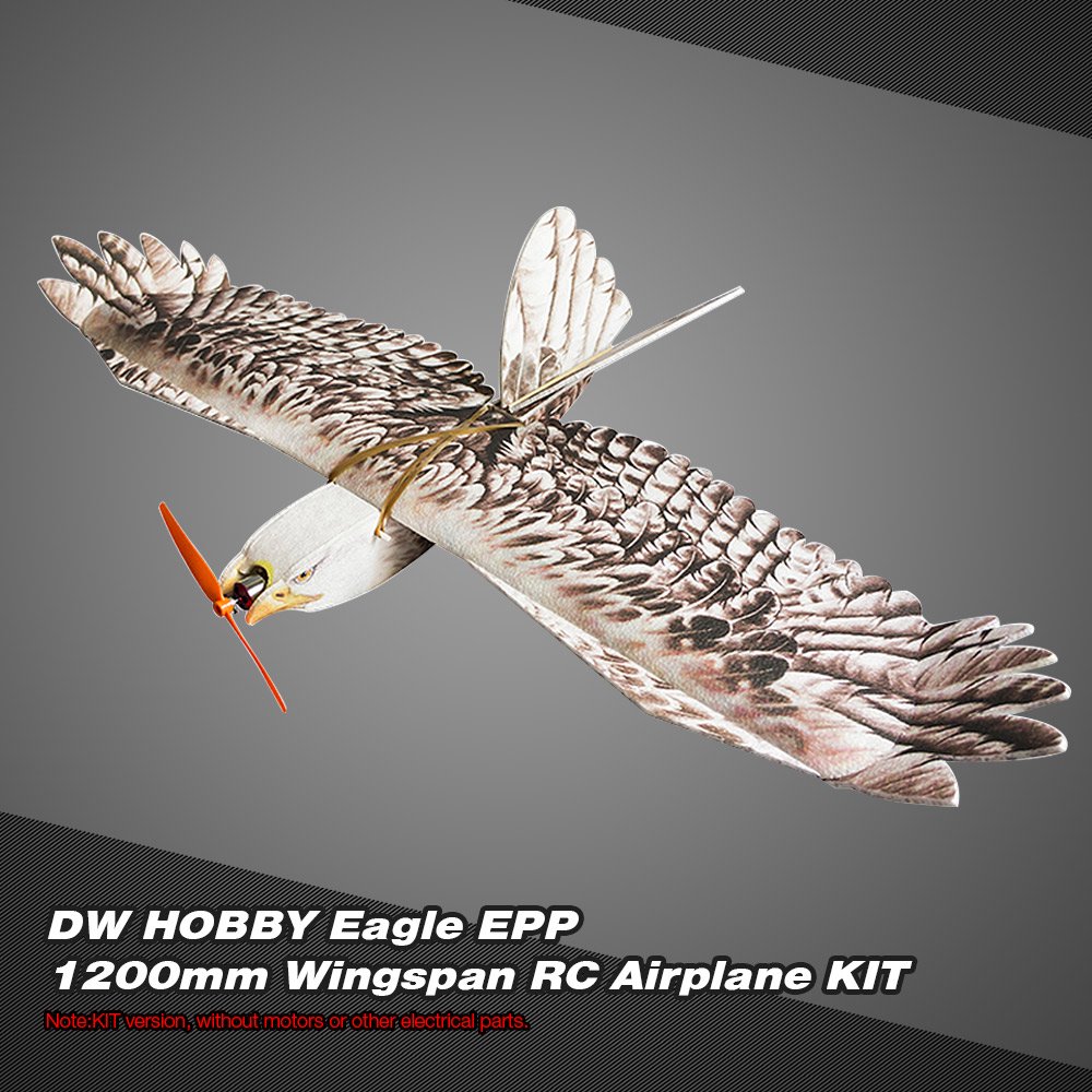 DW HOBBY Biomimetic Eagle EPP Mini Slow Flyer 1200mm Wingspan RC Airplane KIT
