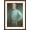 Brown Frame, variant on Art.com General Robert E. Lee Art Print, 24" x 36"