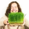 thumbnail image 4 of Juego de propagadores de jardín Bandejas de s de bandejas de plántulas de ecológicas Semillas grande kusrkot macetas de plántulas, 4 of 7
