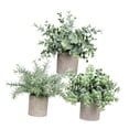 thumbnail image 2 of Plantas Artificiales en Maceta Strade Fareast Limited 3 Piezas Decorativas Estilo A, 2 of 8
