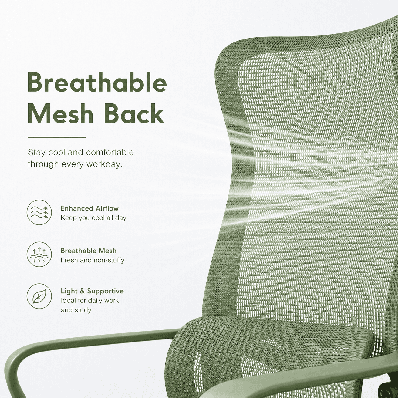 Homy Casa Ergonomic Mesh Office Chair with Adjustable Lumbar Support, High Back Desk Chair