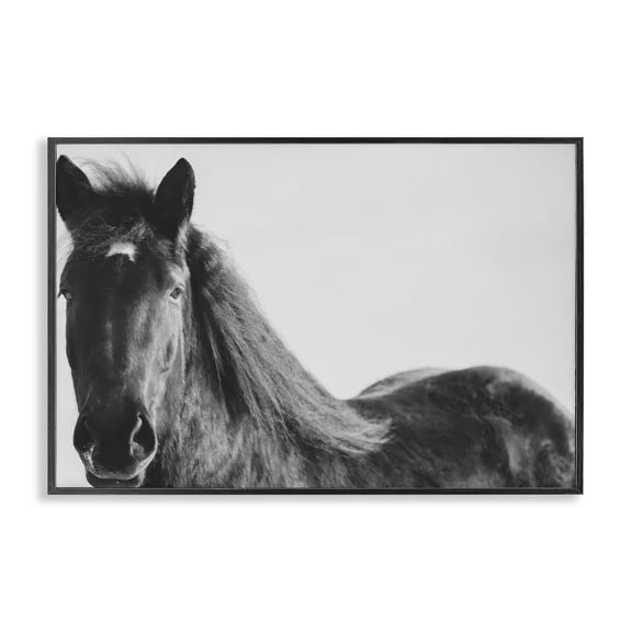 Stupell Industries Rustic Lodge Black Horse in Winter Black Framed Giclee Art, 18 x 12, by Amy Carroll