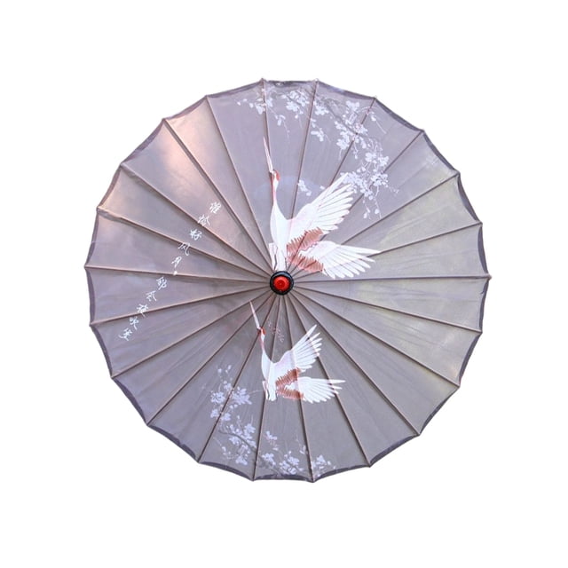 Cateissary Paraguas de tela de seda, estilo chino tradicional, papel al óleo, danza clásica femenina, sombrilla decorativa, disfraz, accesorios de Paraguas de lluvia Tipo 9 Cateissary HA073075-11