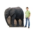 thumbnail image 3 of Elephant, 3 of 4
