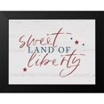 thumbnail image 2 of Lux + Me Designs 24x19 Black Modern Framed Museum Art Print Titled - Sweet Land of Liberty I, 2 of 5
