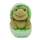 thumbnail image 1 of Plushland Animal de peluche de 6.0 in con cremallera sorpresa para esconder huevos, regalo inspirado en primavera para niñas y niños, cumpleaños, día de la madre (rana), 1 of 4