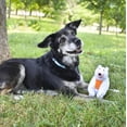 thumbnail image 5 of GRRREEN Dog Toys | Plush Stuffed Animal Polar Bear, Jumbo | Eco-Friendly Non Toxic Toys, 5 of 9