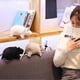 thumbnail image 3 of Simulated 3d Mouse Rat Animal Soft Plush Doll Toy Sofa Couch Decor New Year Gift, 3 of 5