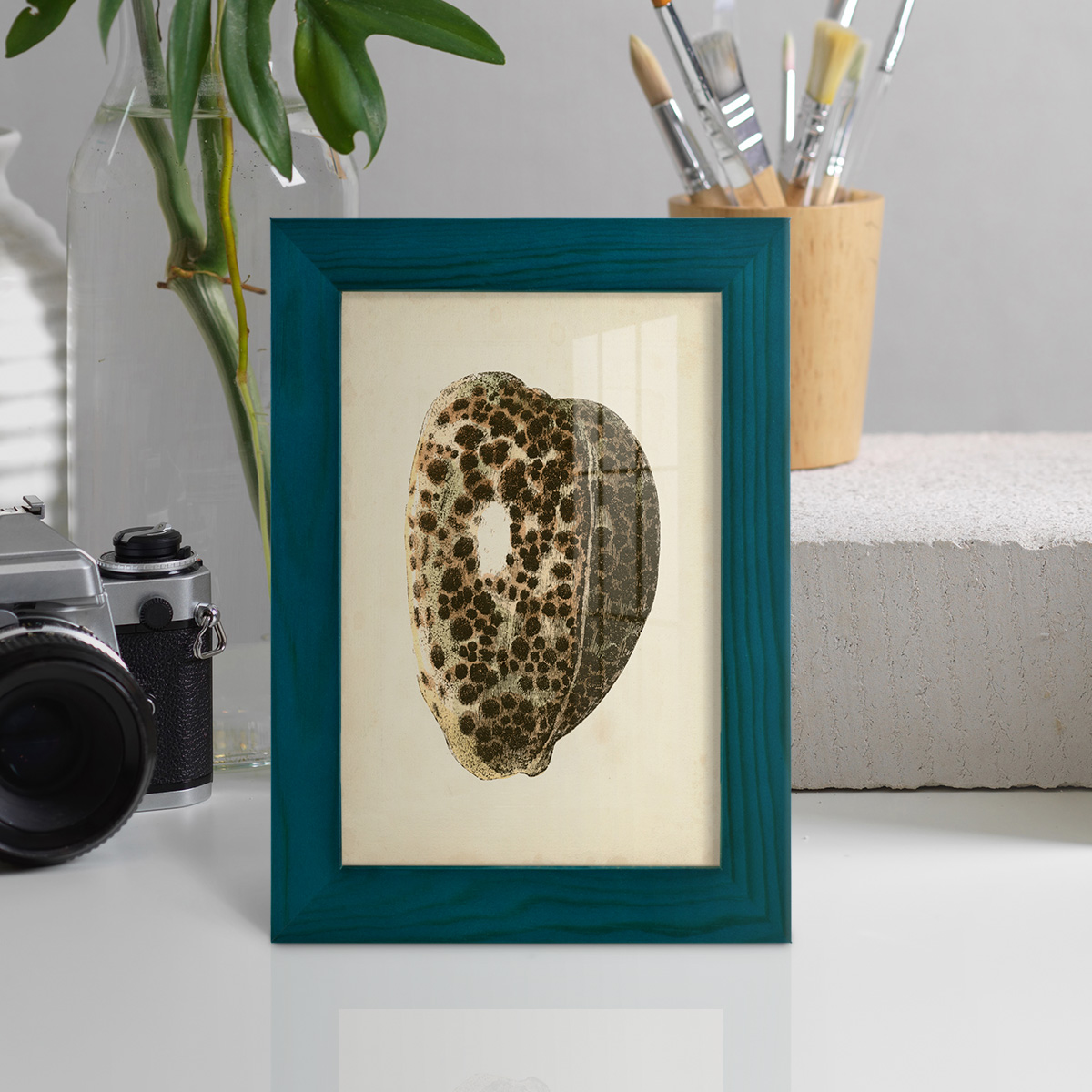 Sealife Collection III - Framed Print w/glass - Ocean Blue