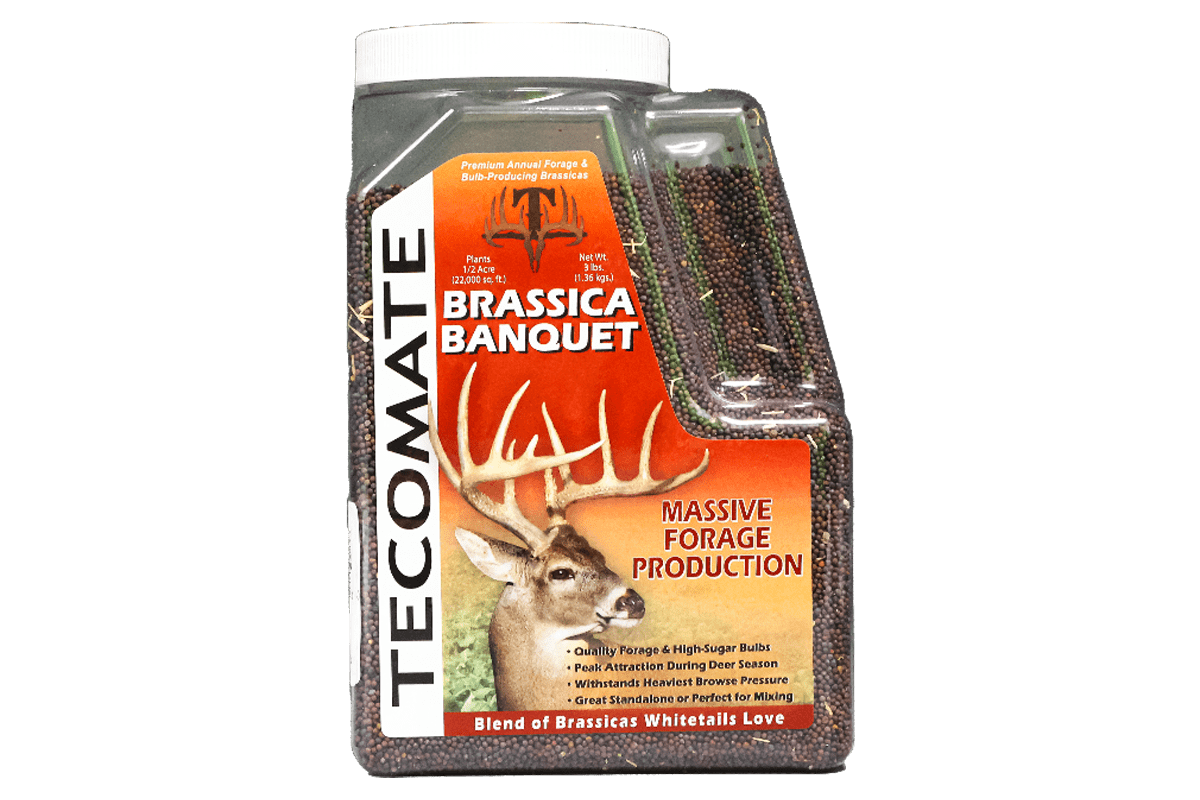 Brassica Banquet — Deer Food Plot Seed