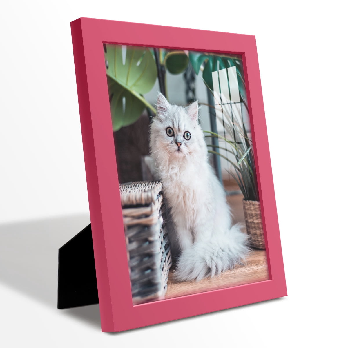 Modern 8 in. x 10 in. Hot Pink Picture Frame (Set of 4)