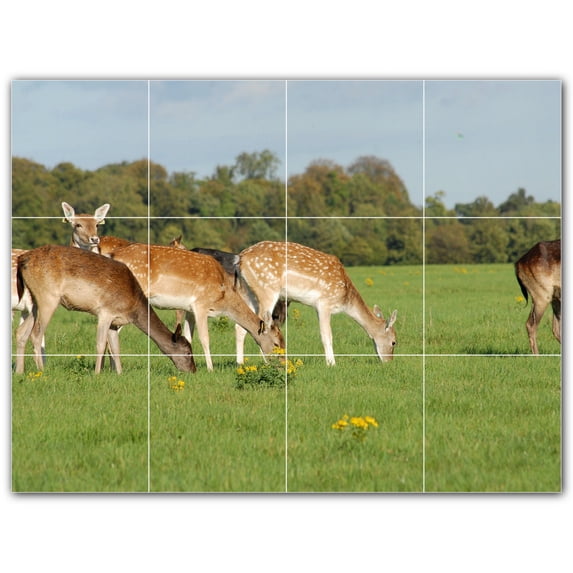 Picture-Tiles.com: Deer Ceramic Tile Wall Mural WAL500435-43XL. 48"W x 36"H using (12) 12" x 12" Ceramic Tiles-Satin Finish
