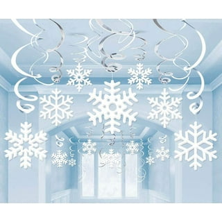  20 Pcs White Paper Snowflake Decorations Christmas Snowflake  Hanging Swirl Decorations Tissue Poms and Fans Hanging Ceiling Decor for  Winter Party Birthday Wonderland Xmas Holiday Supplies : Home & Kitchen