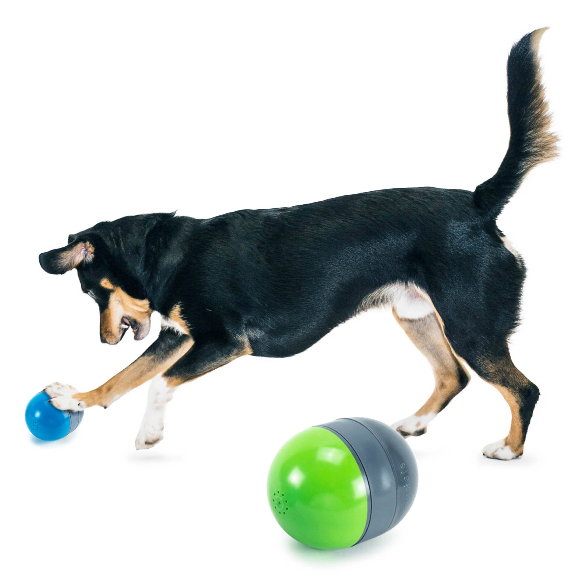 PetSafe Ricochet Electronic Squeak Toys for All Dogs, BatteryOperated, 2 Smart Paired Walmart