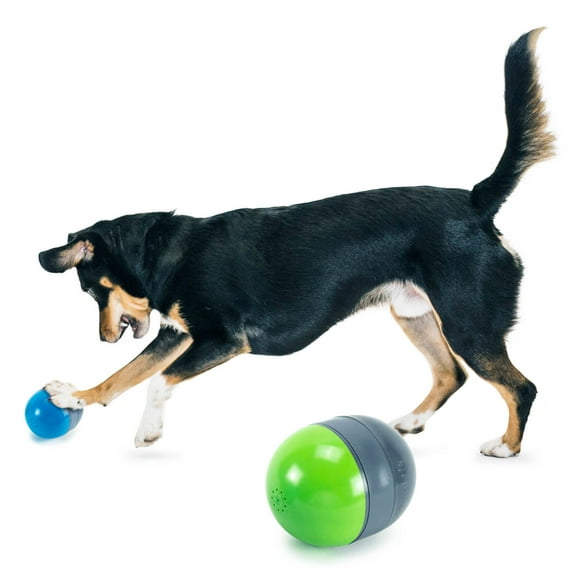 Battery Operated Dog Toys