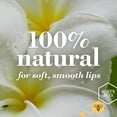 thumbnail image 2 of Burt's Bees 100% Natural Moisturizing Lip Balm, Ultra Conditioning with Kokum Butter, Shea Butter & Cocoa Butter - 1 Tube, 2 of 4