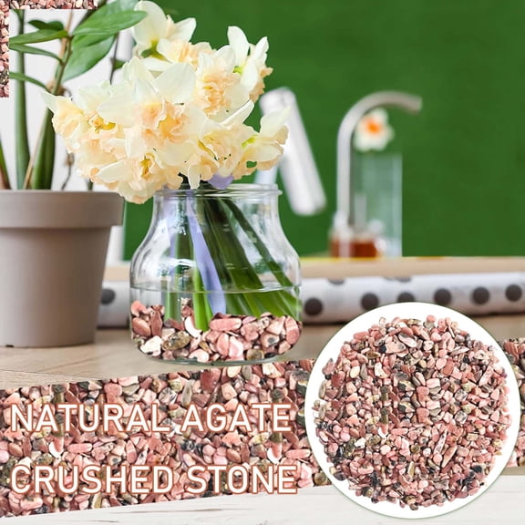 Succulent and Cactus Bonsai DIY Rocks, Jade Bean Pebbles, Natural Decorative Polished Stones Vase Fillers Gravel for Plants,Terrarium, Fairy Gardening, Indoor Outdoor Decor Ornamental Stones