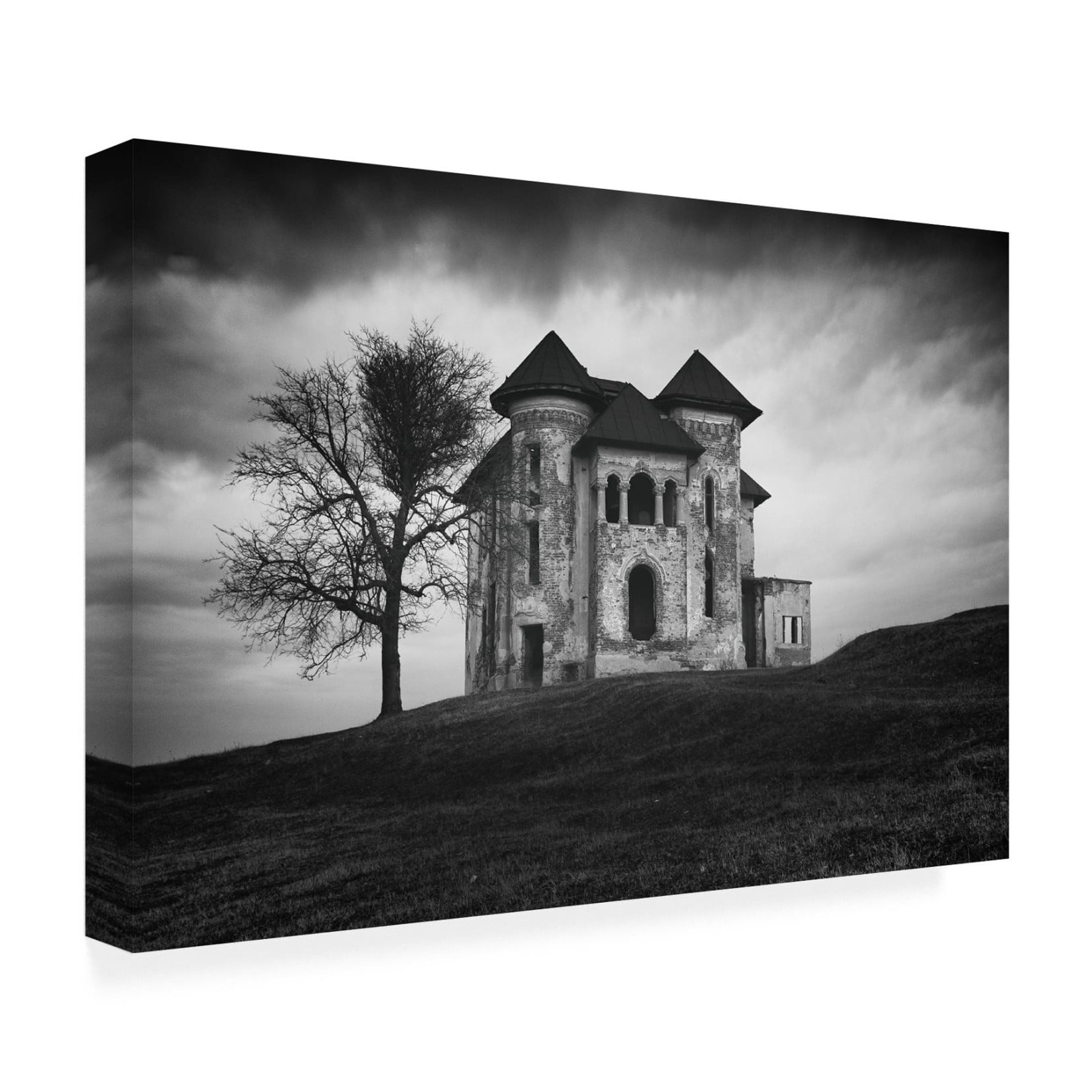 Canvas Wall Art - Catalin Alexandru 'Rosianu Mansion' Wall Art for Living Room, Bedroom, or Office Décor by Trademark Fine Art - 24 x 16 Inches