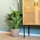 thumbnail image 5 of Seagrass Flower Pot - Woven Plant Pot - Decorative Plant Basket S, 5 of 5