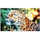thumbnail image 1 of Arte de la lona Beautiful Cheeta Design Art Inc. PT2415-271, 1 of 1