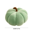 thumbnail image 3 of Yooshoverk Pumpkin Throw Pillow 13.77 Inches Decorative Cushion for Sofa and Bed Soft and Comfortable Seat Cushion for Patio Furniture Versatile Nap Pillow and Car Pillow, 3 of 4