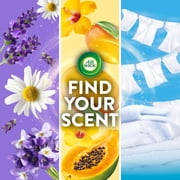 Air Wick Plug-in Scented Oil Warmer Air Freshener Device, White, 2 Count