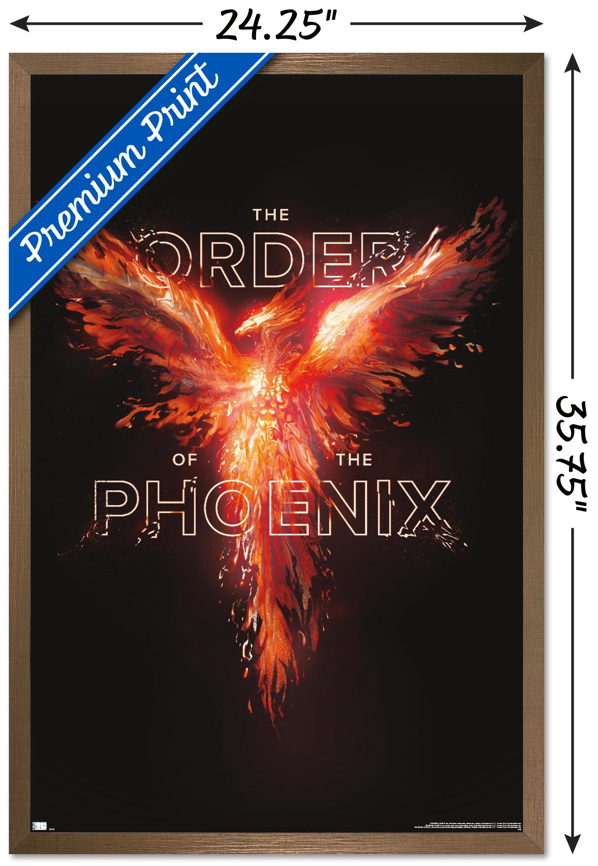 Harry Potter - Order of the Phoenix Magic Wall Poster, 22.375" x 34" Framed