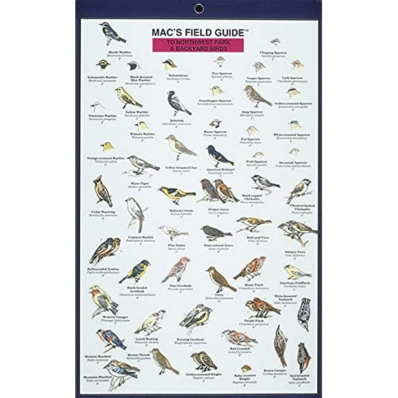 Pre-Owned Mac's Field Guides: Northwest Park & Backyard Birds (Mac's Guides (Paperback)), 9780898862461, 0898862469, Paperback,
