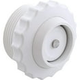 thumbnail image 1 of 0.5 in. Spa Check Valve, 1 of 1