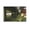 Unframe-style, variant on Serial Experiments Lain Poster Anime Lain Pictures Art Print Posters & Prints (4) Posters Art Print Wall Photo Paint Poster Hanging Picture Family Bedroom Decor Gift 12x18inch(30x45cm)