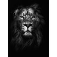 thumbnail image 3 of Design Fabrikken 11x14 Black Modern Framed Museum Art Print Titled - King of Kings, 3 of 5