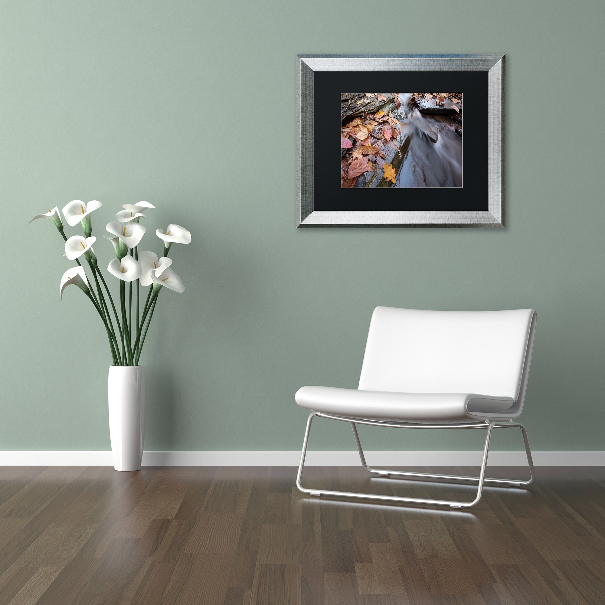 Trademark Fine Art "Chance Creek 1" Canvas Art by Jason Shaffer, Black Matte, Silver Frame