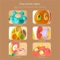 thumbnail image 3 of Baby Busy Hand Grasping Ball Puzzle Sense All-in-one Grasping Touching Ball Rattle Early Education Baby Toy Six-sided, 3 of 4