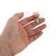 thumbnail image 5 of unbranded 20Pares Botones Decorativos De Metal Con De Rana Para Abrigos Y Prendas Elegantes, 5 of 6
