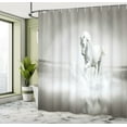 thumbnail image 5 of Ambesonne Animal Shower Curtain, Wild, 69"Wx84"L, Black and White, 5 of 5