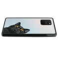 thumbnail image 5 of FINCIBO Slim TPU Bumper + Clear Hard Back Cover for Samsung Galaxy S10 Lite 6.7" 2020, Black Bombay Kitten Cat Hide And Seek, 5 of 6