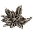 thumbnail image 1 of Vickerman H2STA900 6-11 Po. Capsule Étoile de Lavage Blanc, 1 of 1