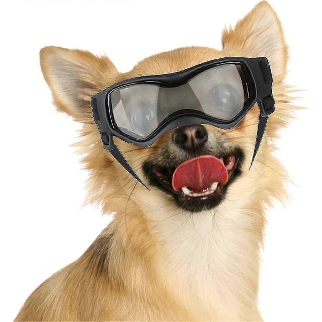 Gafas protectoras para perros con protección UV para perros de razas pequeñas y medianas, a prueba de viento y antivaho, para motocicletas, color rosa, talla M