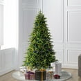 thumbnail image 6 of Vickerman 6.5' x 48" Jersey Fraser Fir Artificial Christmas Tree, LED Color Changing Mini Lights, 6 of 6