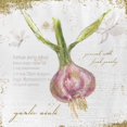 thumbnail image 2 of Adams, Emily 20x20 Black Ornate Wood Framed with Double Matting Museum Art Print Titled - Garden Treasures XI, 2 of 4
