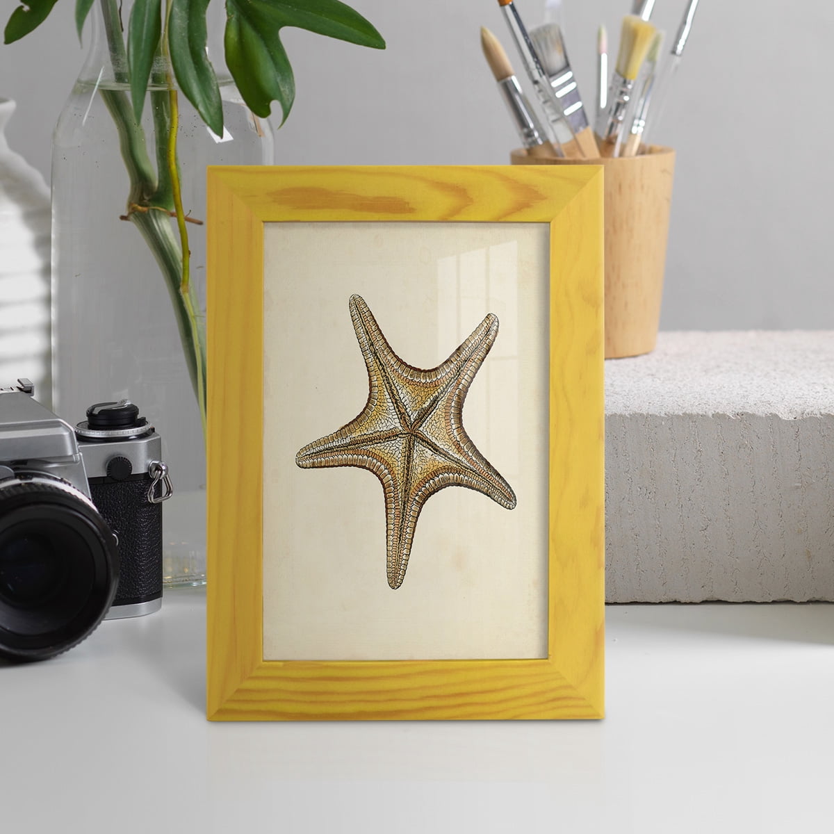 Sealife Collection IV - Framed Print w/glass - Sunflower Yellow