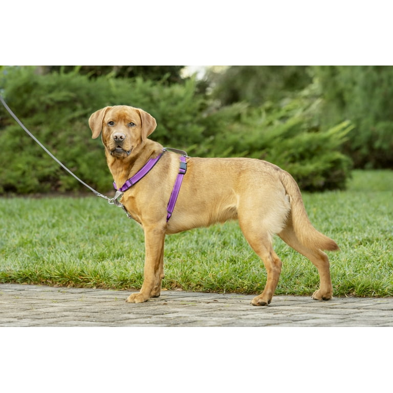 PetSafe 3 in 1 Harness Front Clip or Back Clip Walmart