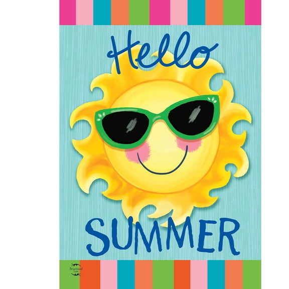 Briarwood Lane House Flag 40x28 For Outdoor Hello Sun Summer For Summer House Flag