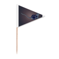 thumbnail image 1 of Chinese Zodiac Clever Vitality Intelligence Toothpick Triangle Cupcake Toppers Flag, 1 of 3