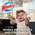 thumbnail image 3 of Windex Glass Window and Surface Pre-Moistened Wipes, Original, 38 Wipes, 3 Count Pack (114 Wipes Total), 3 of 10
