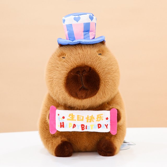 Poupée Capybara Véritable Poupée Jouet en Peluche Oreiller Cadeau d'Anniversaire Célébrité Internet Ragdoll DMH