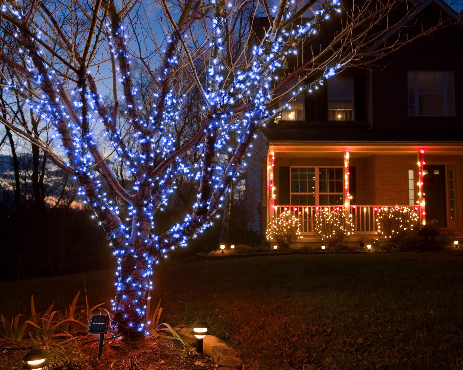 Fairy Lights Blue Light