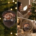 thumbnail image 4 of romoty 3D Resin Bunny Christmas Tree Ornament, Sleeping Woodland Rabbit in Shell Hanging Figurine for Holiday Home Decor, 4 of 9