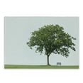 thumbnail image 1 of Tree Cutting Board, Bench Under Majestic Tree Looks Like Solitude in Habitat Environment Design, Decorative Tempered Glass Cutting and Serving Board, Small Size, Green White, by Ambesonne, 1 of 1
